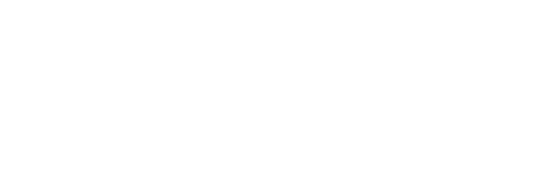 logo img
