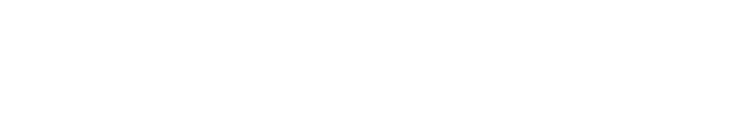 logo img